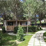 Del * Marina Di Bibbona