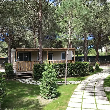 Del * Marina Di Bibbona
