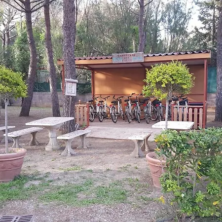Del Marina Di Bibbona